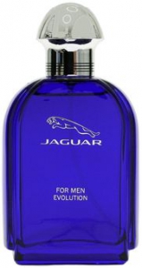 Jaguar Jaguar Evolution