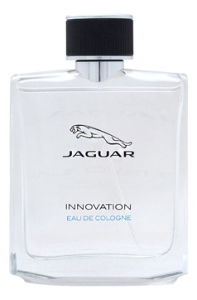 Jaguar Jaguar Innovation