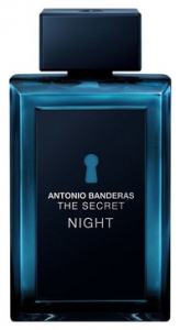 Antonio Banderas The Secret Night